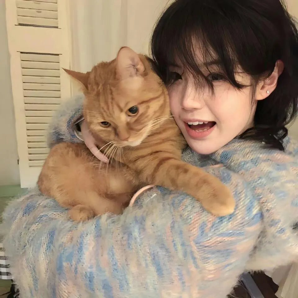 木材宝藏狗